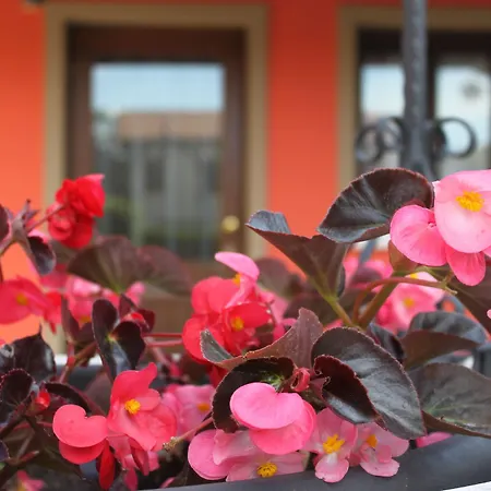 Stucky Otel Mogliano Veneto